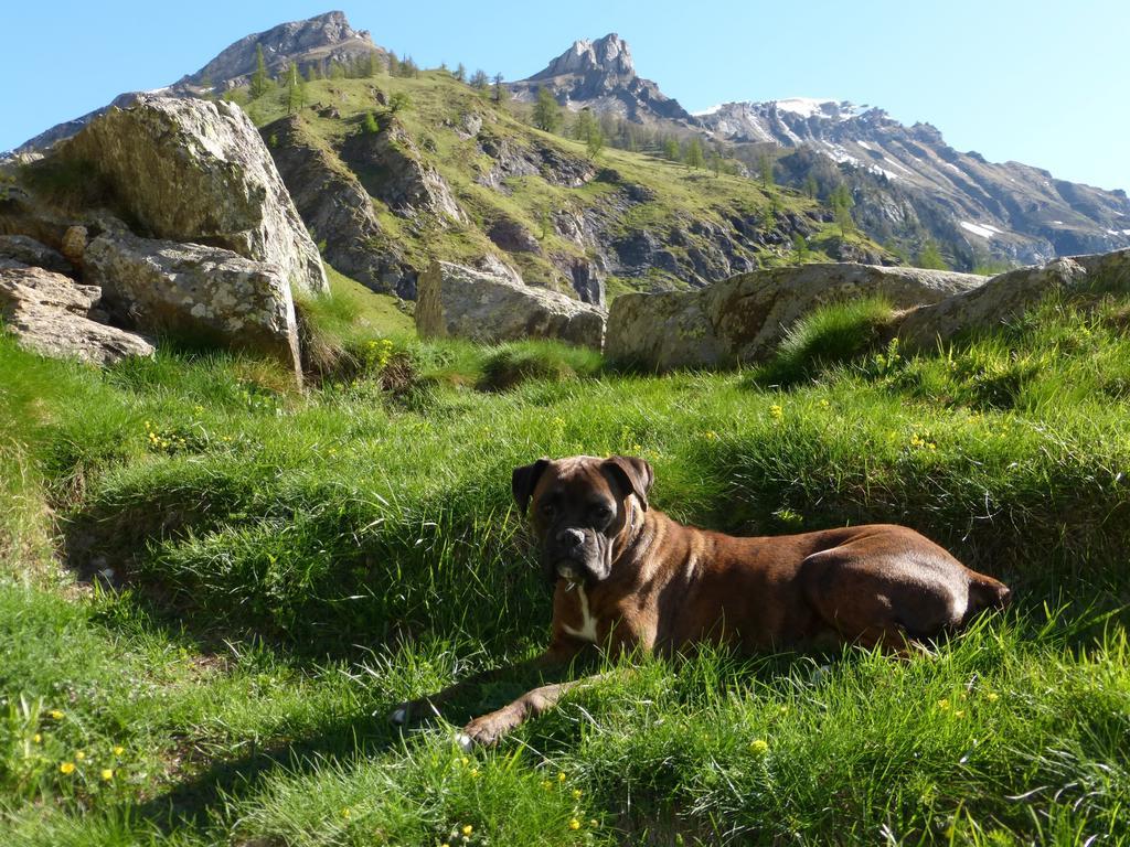 B&B Alpe Veglia Varzo Kültér fotó
