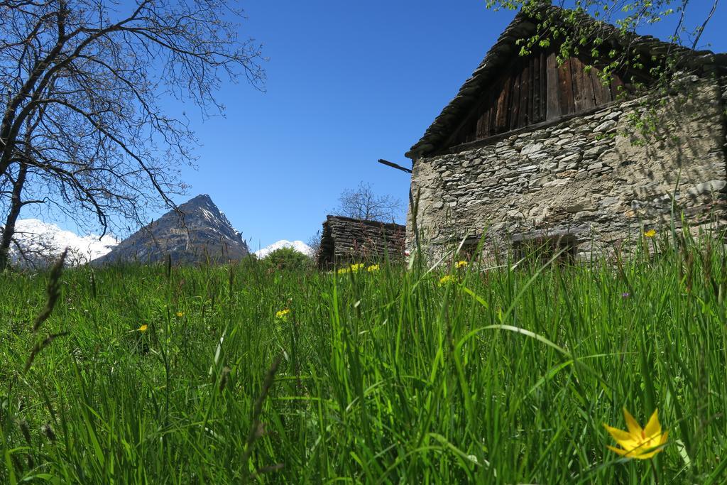 B&B Alpe Veglia Varzo Kültér fotó