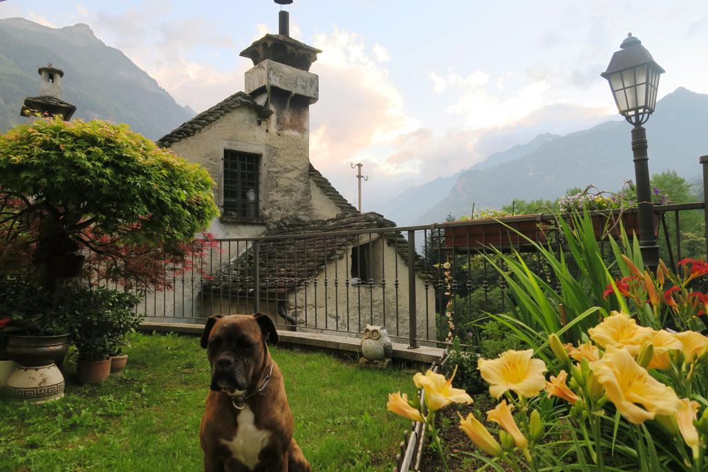 B&B Alpe Veglia Varzo Kültér fotó