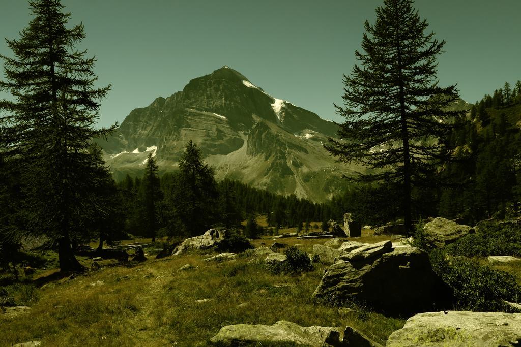 B&B Alpe Veglia Varzo Kültér fotó