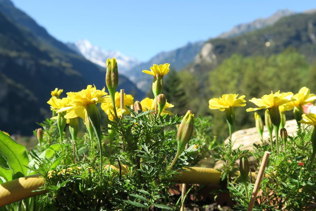 B&B Alpe Veglia Varzo Kültér fotó