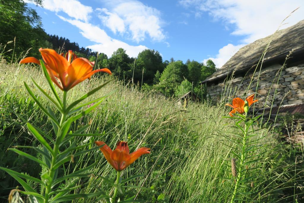 B&B Alpe Veglia Varzo Kültér fotó