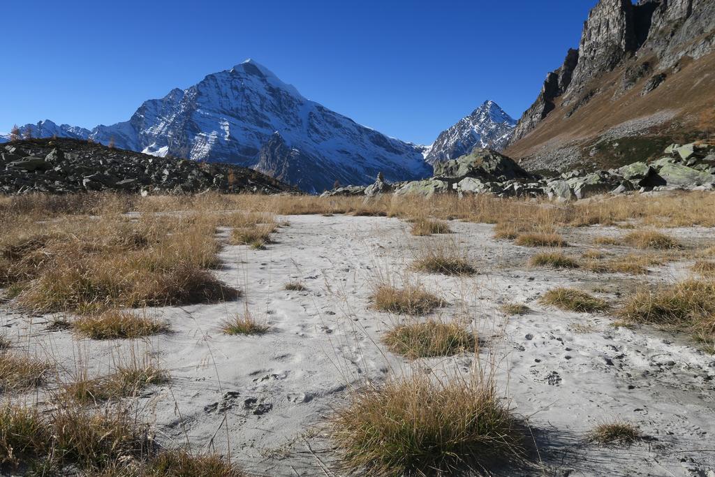 B&B Alpe Veglia Varzo Kültér fotó