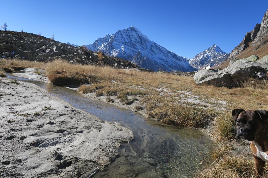 B&B Alpe Veglia Varzo Kültér fotó