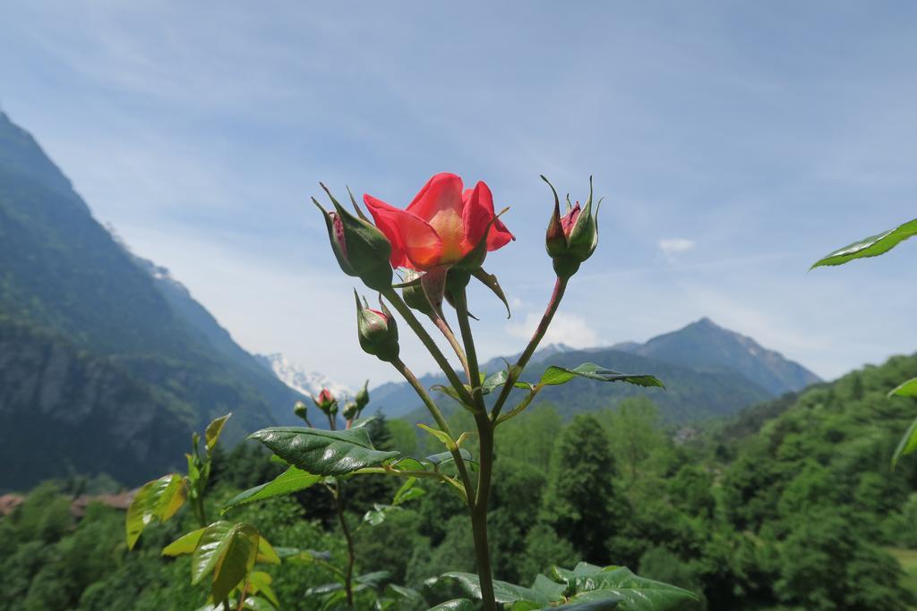 B&B Alpe Veglia Varzo Kültér fotó