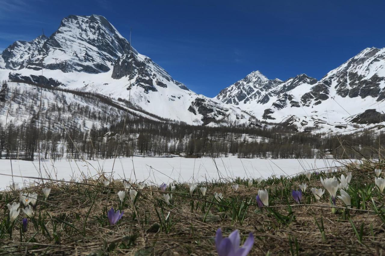 B&B Alpe Veglia Varzo Kültér fotó