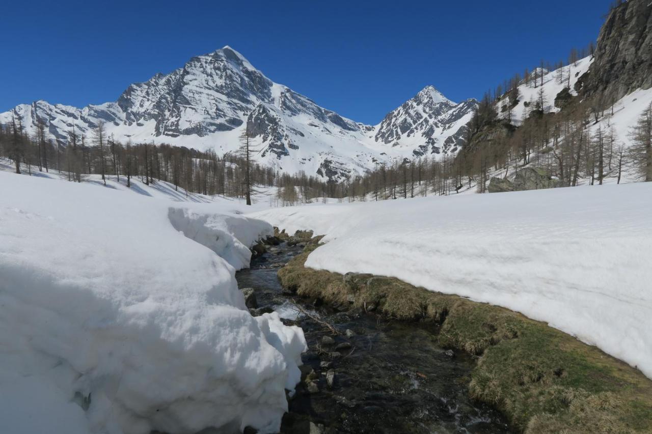 B&B Alpe Veglia Varzo Kültér fotó